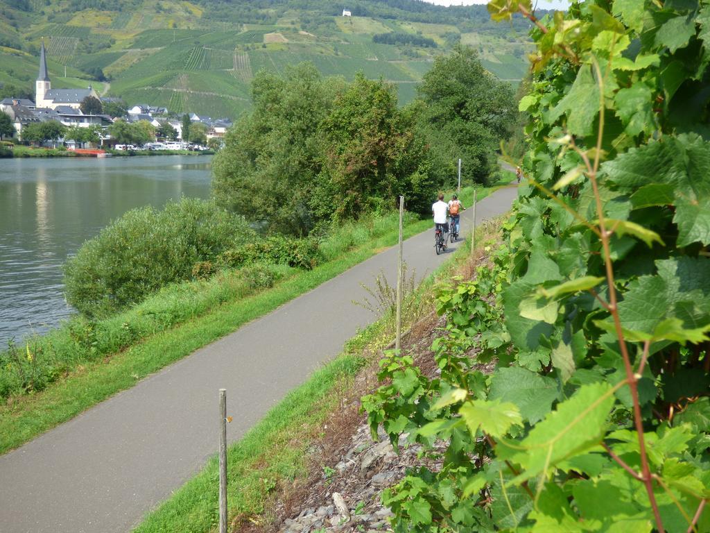 Apartment Sonnenhaus Traben-Trarbach